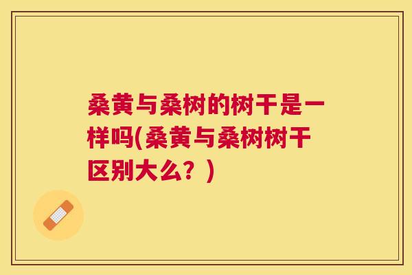 桑黄与桑树的树干是一样吗(桑黄与桑树树干区别大么?) 桑黄与桑树的树干是一样吗(桑黄与桑树树干区别大么?)