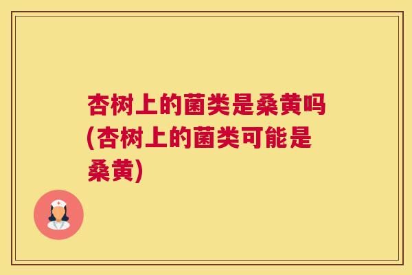 杏树上的菌类是桑黄吗(杏树上的菌类可能是桑黄) 杏树上的菌类是桑黄吗(杏树上的菌类可能是桑黄)