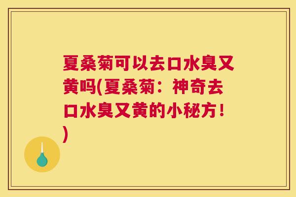 夏桑菊可以去口水臭又黄吗(夏桑菊:神奇去口水臭又黄的小秘方!) 夏桑菊可以去口水臭又黄吗(夏桑菊:神奇去口水臭又黄的小秘方!)