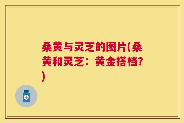 桑黄与灵芝的图片(桑黄和灵芝:黄金搭档?) 桑黄与灵芝的图片(桑黄和灵芝:黄金搭档?)