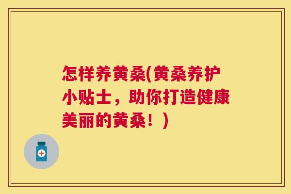 怎样养黄桑(黄桑养护小贴士,助你打造健康美丽的黄桑!) 怎样养黄桑(黄桑养护小贴士,助你打造健康美丽的黄桑!)
