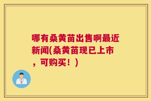 哪有桑黄苗出售啊近新闻(桑黄苗现已上市,可购买!) 哪有桑黄苗出售啊近新闻(桑黄苗现已上市,可购买!)