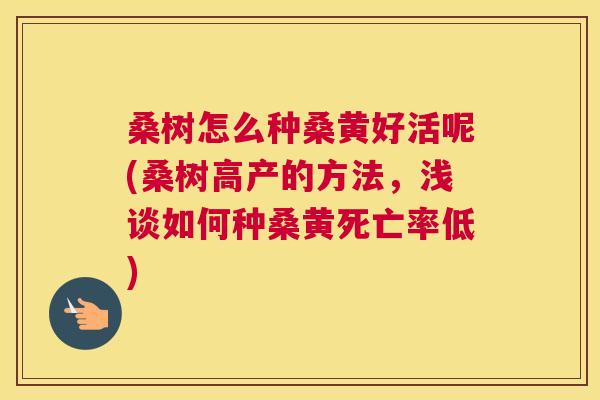 桑树怎么种桑黄好活呢(桑树高产的方法,浅谈如何种桑黄死亡率低) 桑树怎么种桑黄好活呢(桑树高产的方法,浅谈如何种桑黄死亡率低)
