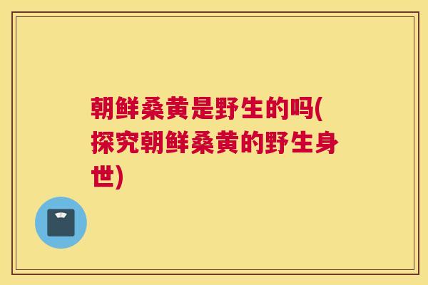 朝鲜桑黄是野生的吗(探究朝鲜桑黄的野生身世) 朝鲜桑黄是野生的吗(探究朝鲜桑黄的野生身世)