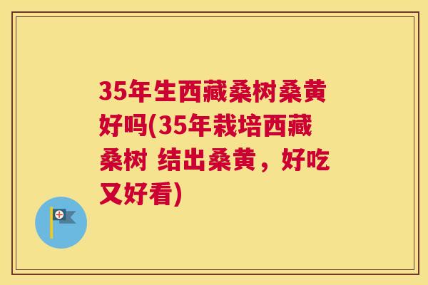 35年生西藏桑树桑黄好吗(35年栽培西藏桑树 结出桑黄,好吃又好看) 35年生西藏桑树桑黄好吗(35年栽培西藏桑树 结出桑黄,好吃又好看)