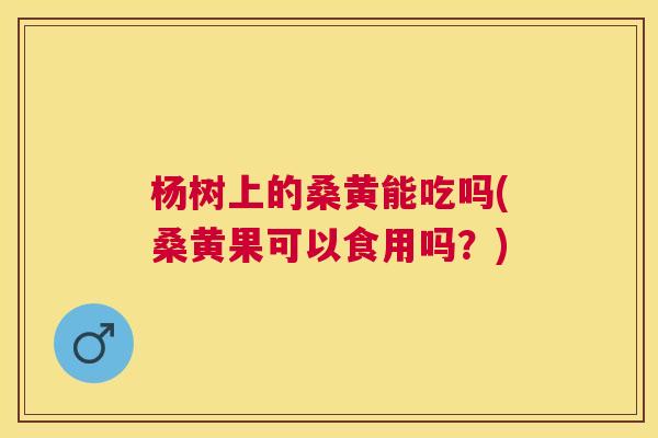 杨树上的桑黄能吃吗(桑黄果可以食用吗?) 杨树上的桑黄能吃吗(桑黄果可以食用吗?)