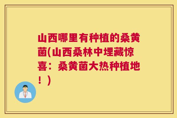山西哪里有种植的桑黄菌(山西桑林中埋藏惊喜:桑黄菌大热种植地!) 山西哪里有种植的桑黄菌(山西桑林中埋藏惊喜:桑黄菌大热种植地!)
