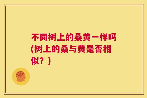 不同树上的桑黄一样吗(树上的桑与黄是否相似?) 不同树上的桑黄一样吗(树上的桑与黄是否相似?)