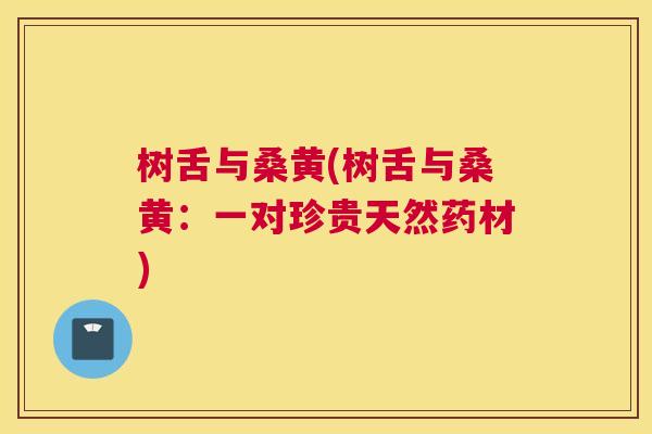 树舌与桑黄(树舌与桑黄:一对珍贵天然药材) 树舌与桑黄(树舌与桑黄:一对珍贵天然药材)