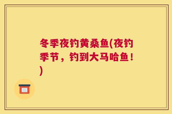 冬季夜钓黄桑鱼(夜钓季节,钓到大马哈鱼!) 冬季夜钓黄桑鱼(夜钓季节,钓到大马哈鱼!)