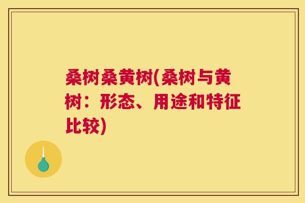 桑树桑黄树(桑树与黄树:形态、用途和特征比较) 桑树桑黄树(桑树与黄树:形态、用途和特征比较)