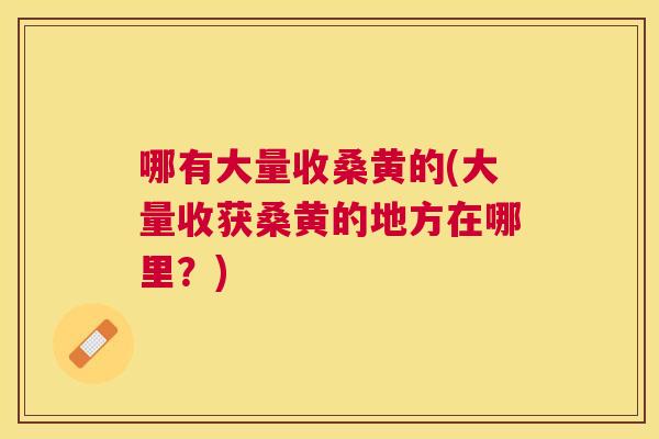 哪有大量收桑黄的(大量收获桑黄的地方在哪里?) 哪有大量收桑黄的(大量收获桑黄的地方在哪里?)