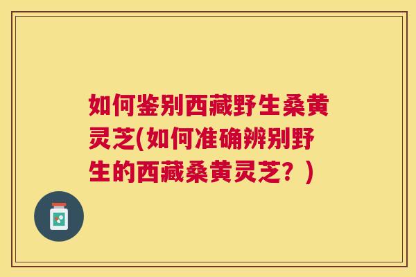 如何鉴别西藏野生桑黄灵芝(如何准确辨别野生的西藏桑黄灵芝?) 如何鉴别西藏野生桑黄灵芝(如何准确辨别野生的西藏桑黄灵芝?)
