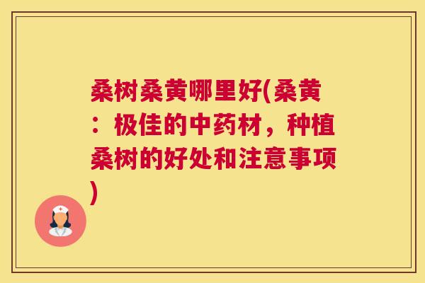 桑树桑黄哪里好(桑黄:极佳的材,种植桑树的好处和注意事项) 桑树桑黄哪里好(桑黄:极佳的材,种植桑树的好处和注意事项)