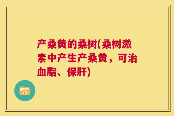 产桑黄的桑树(桑树激素中产生产桑黄,可、) 产桑黄的桑树(桑树激素中产生产桑黄,可、)