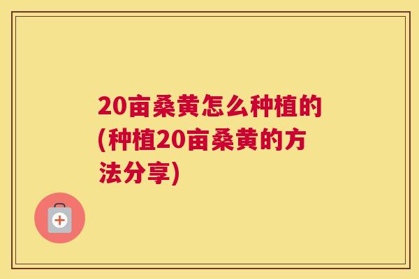 20亩桑黄怎么种植的(种植20亩桑黄的方法分享) 20亩桑黄怎么种植的(种植20亩桑黄的方法分享)