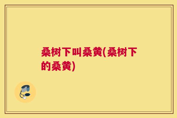 桑树下叫桑黄(桑树下的桑黄) 桑树下叫桑黄(桑树下的桑黄)