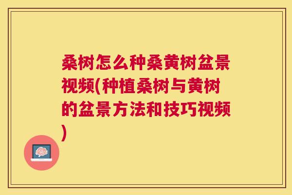 桑树怎么种桑黄树盆景视频(种植桑树与黄树的盆景方法和技巧视频) 桑树怎么种桑黄树盆景视频(种植桑树与黄树的盆景方法和技巧视频)