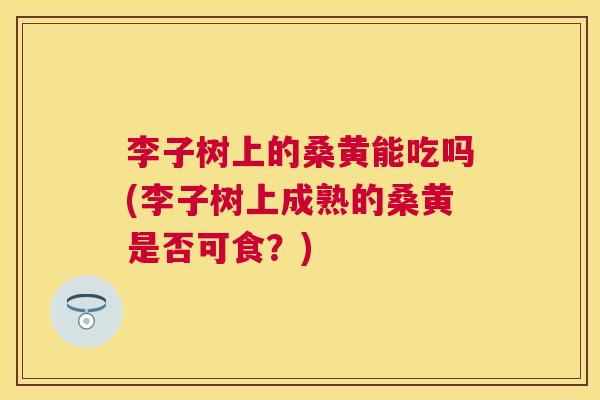 李子树上的桑黄能吃吗(李子树上成熟的桑黄是否可食?) 李子树上的桑黄能吃吗(李子树上成熟的桑黄是否可食?)