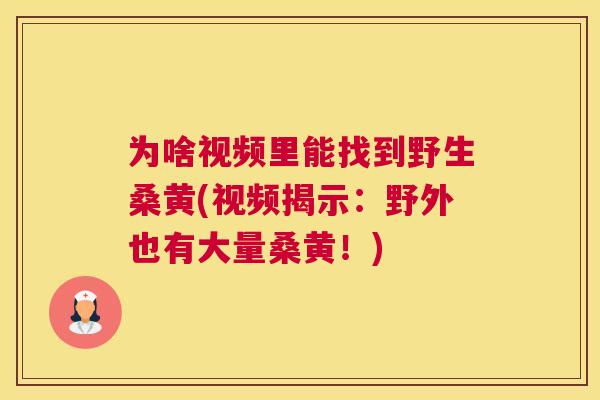 为啥视频里能找到野生桑黄(视频揭示:野外也有大量桑黄!) 为啥视频里能找到野生桑黄(视频揭示:野外也有大量桑黄!)
