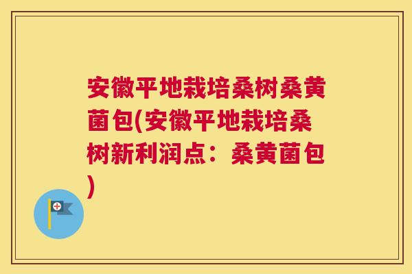 安徽平地栽培桑树桑黄菌包(安徽平地栽培桑树新利润点：桑黄菌包)