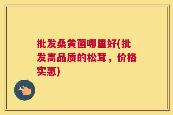 批发桑黄菌哪里好(批发高品质的松茸，价格实惠)