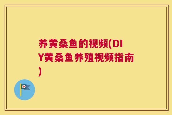 养黄桑鱼的视频(DIY黄桑鱼养殖视频指南) 养黄桑鱼的视频(DIY黄桑鱼养殖视频指南)