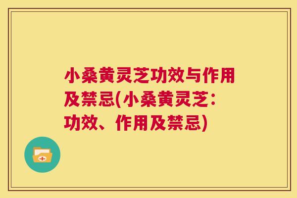 小桑黄灵芝功效与作用及禁忌(小桑黄灵芝:功效、作用及禁忌) 小桑黄灵芝功效与作用及禁忌(小桑黄灵芝:功效、作用及禁忌)
