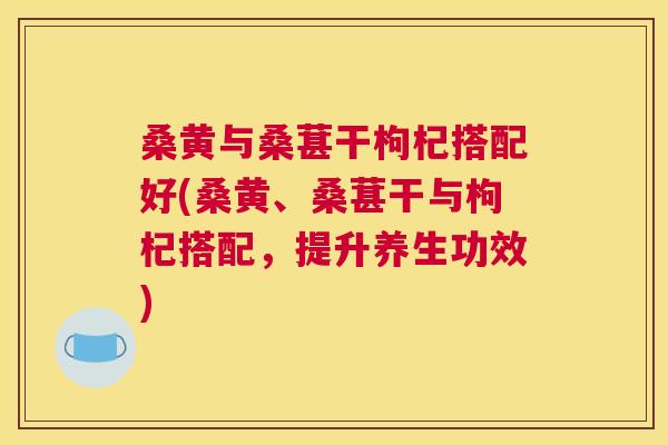 桑黄与桑葚干枸杞搭配好(桑黄、桑葚干与枸杞搭配,提升养生功效) 桑黄与桑葚干枸杞搭配好(桑黄、桑葚干与枸杞搭配,提升养生功效)