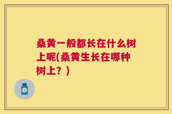 桑黄一般都长在什么树上呢(桑黄生长在哪种树上?) 桑黄一般都长在什么树上呢(桑黄生长在哪种树上?)