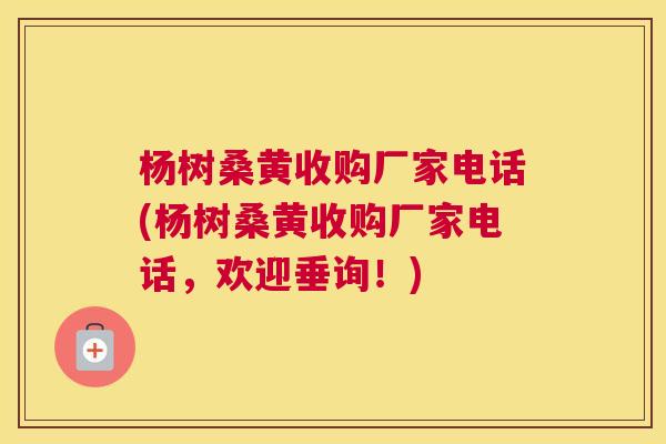 杨树桑黄收购厂家电话(杨树桑黄收购厂家电话,欢迎垂询!) 杨树桑黄收购厂家电话(杨树桑黄收购厂家电话,欢迎垂询!)