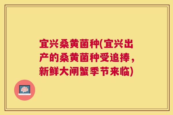 宜兴桑黄菌种(宜兴出产的桑黄菌种受追捧,新鲜大闸蟹季节来临) 宜兴桑黄菌种(宜兴出产的桑黄菌种受追捧,新鲜大闸蟹季节来临)