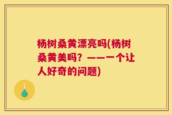 杨树桑黄漂亮吗(杨树桑黄美吗?——一个让人好奇的问题) 杨树桑黄漂亮吗(杨树桑黄美吗?——一个让人好奇的问题)