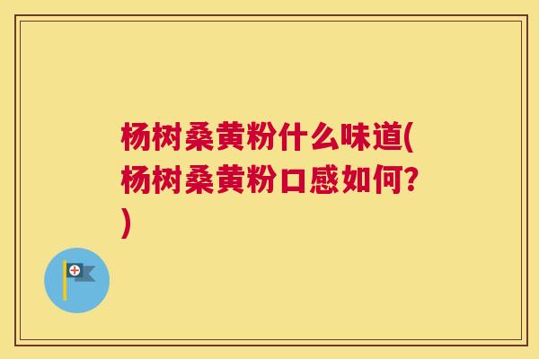 杨树桑黄粉什么味道(杨树桑黄粉口感如何？)