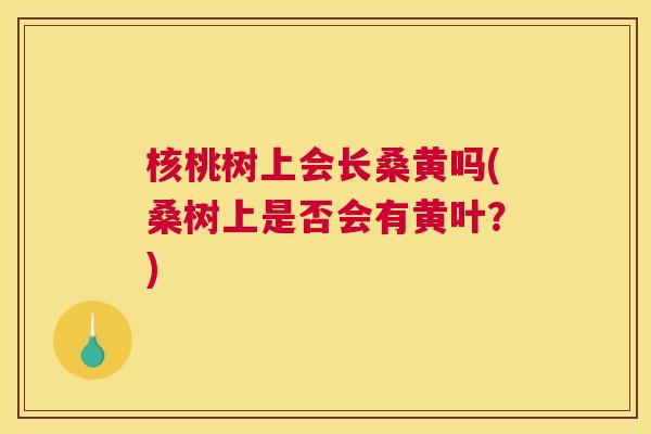 核桃树上会长桑黄吗(桑树上是否会有黄叶?) 核桃树上会长桑黄吗(桑树上是否会有黄叶?)