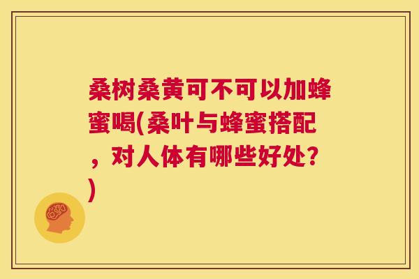 桑树桑黄可不可以加蜂蜜喝(桑叶与蜂蜜搭配，对人体有哪些好处？)