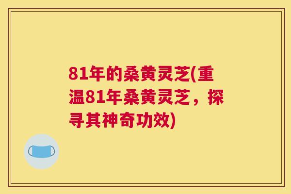 81年的桑黄灵芝(重温81年桑黄灵芝，探寻其神奇功效)