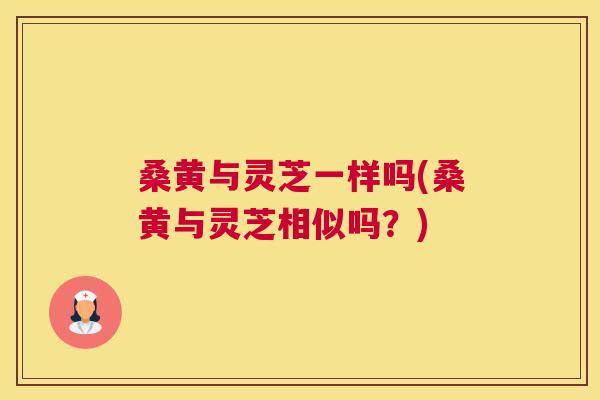 桑黄与灵芝一样吗(桑黄与灵芝相似吗?) 桑黄与灵芝一样吗(桑黄与灵芝相似吗?)