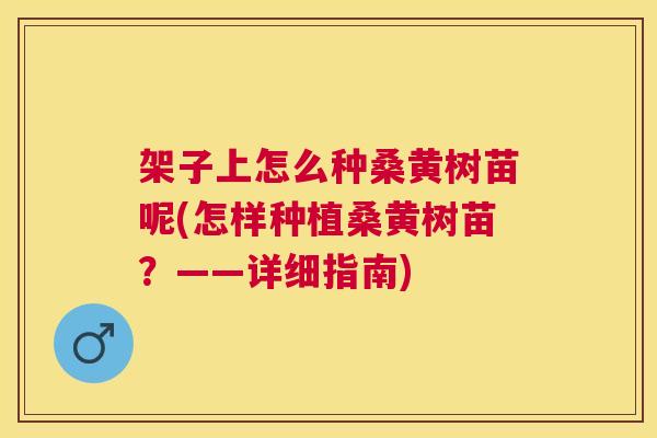 架子上怎么种桑黄树苗呢(怎样种植桑黄树苗?——详细指南) 架子上怎么种桑黄树苗呢(怎样种植桑黄树苗?——详细指南)