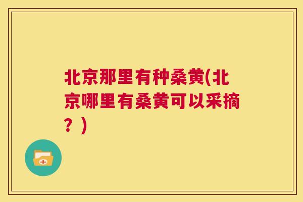 北京那里有种桑黄(北京哪里有桑黄可以采摘?) 北京那里有种桑黄(北京哪里有桑黄可以采摘?)