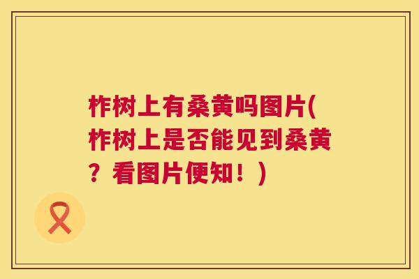 柞树上有桑黄吗图片(柞树上是否能见到桑黄?看图片便知!) 柞树上有桑黄吗图片(柞树上是否能见到桑黄?看图片便知!)