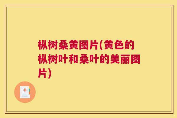 枞树桑黄图片(黄色的枞树叶和桑叶的美丽图片) 枞树桑黄图片(黄色的枞树叶和桑叶的美丽图片)