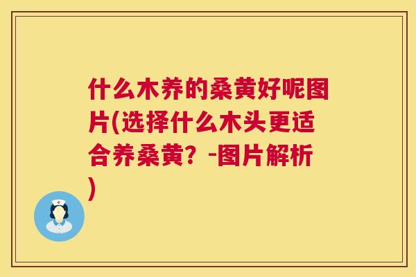 什么木养的桑黄好呢图片(选择什么木头更适合养桑黄?-图片解析) 什么木养的桑黄好呢图片(选择什么木头更适合养桑黄?-图片解析)
