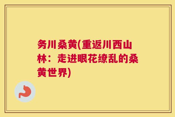 务川桑黄(重返川西山林:走进眼花缭乱的桑黄世界) 务川桑黄(重返川西山林:走进眼花缭乱的桑黄世界)