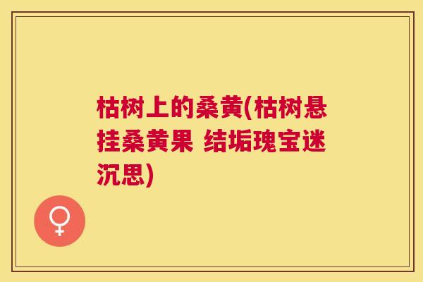 枯树上的桑黄(枯树悬挂桑黄果 结垢瑰宝迷沉思) 枯树上的桑黄(枯树悬挂桑黄果 结垢瑰宝迷沉思)