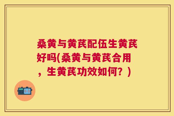 桑黄与黄芪配伍生黄芪好吗(桑黄与黄芪合用,生黄芪功效如何?) 桑黄与黄芪配伍生黄芪好吗(桑黄与黄芪合用,生黄芪功效如何?)