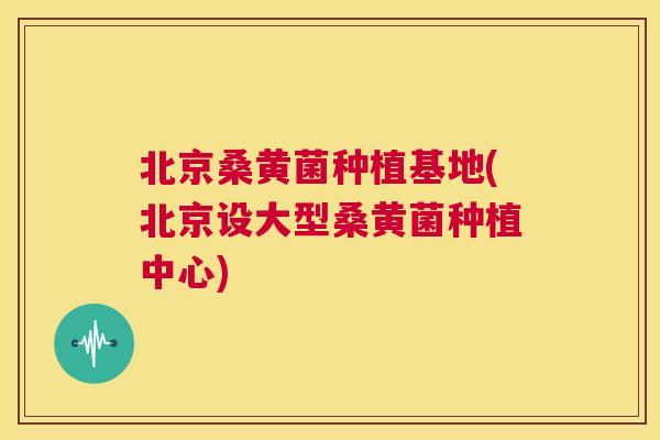 北京桑黄菌种植基地(北京设大型桑黄菌种植中心) 北京桑黄菌种植基地(北京设大型桑黄菌种植中心)