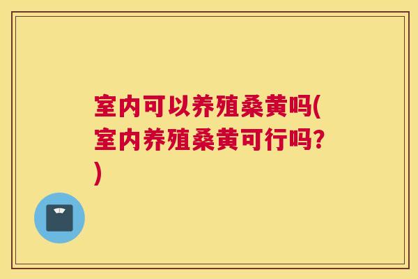 室内可以养殖桑黄吗(室内养殖桑黄可行吗?) 室内可以养殖桑黄吗(室内养殖桑黄可行吗?)