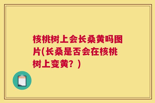 核桃树上会长桑黄吗图片(长桑是否会在核桃树上变黄?) 核桃树上会长桑黄吗图片(长桑是否会在核桃树上变黄?)