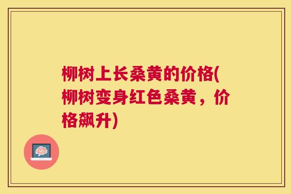 柳树上长桑黄的价格(柳树变身红色桑黄,价格飙升) 柳树上长桑黄的价格(柳树变身红色桑黄,价格飙升)